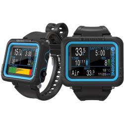 Peregrine Computer (non airlines)