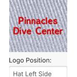 Embroidered logo cap gray
