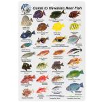 FISH CARD HAWAII FISH CARD