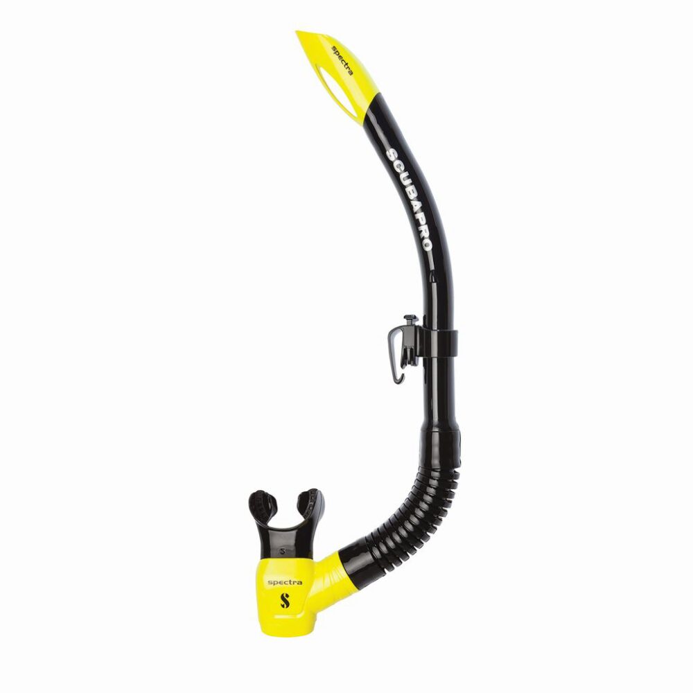 Spectra - Black/Yellow