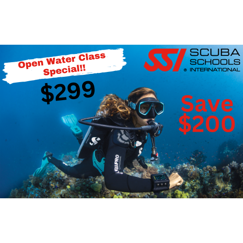 SSI Open Water Class (Promo)