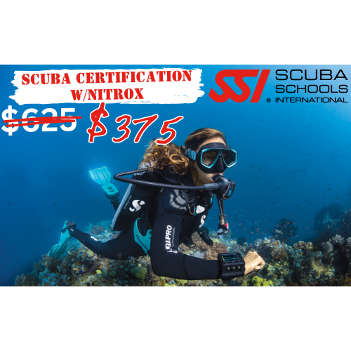 SSI Open Water Class Plus (Promo)