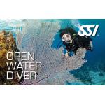 SSI Open Water Class (Promo)