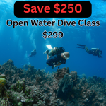 SSI Open Water Class (Promo)