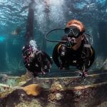 Definition 3mm- Men's 