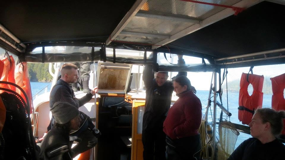 Scuba divers preparing gear on a dive boat deck
