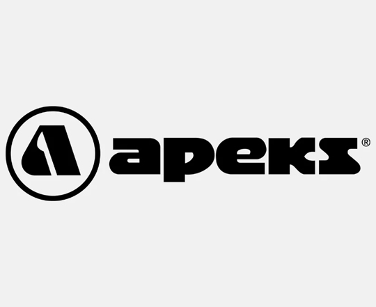 Apeks Logo