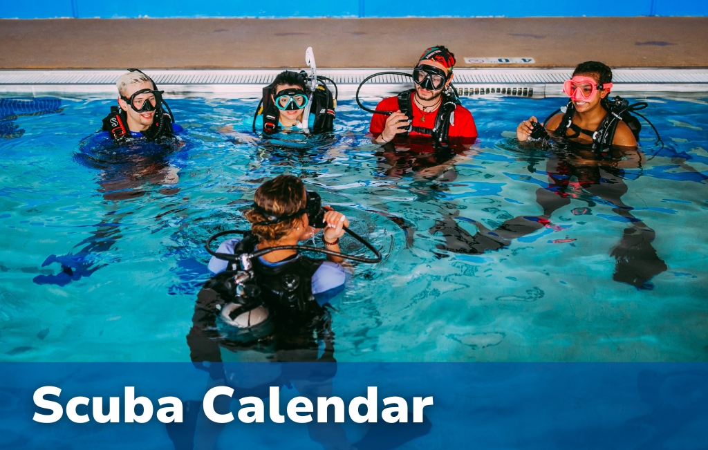 Scuba Calendar