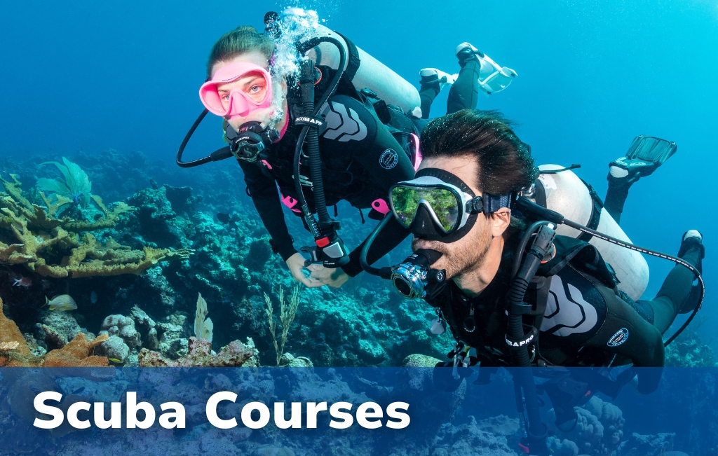 Scuba Courses