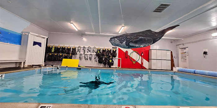 Underwater Phantaseas Indoor Pool