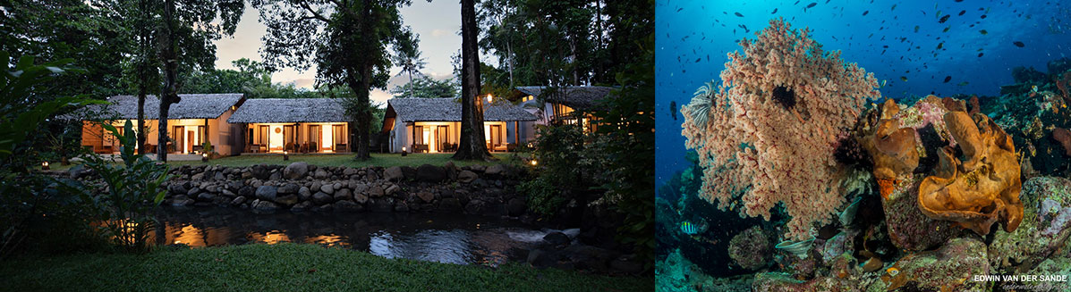 Bunaken Bangka Lembeh dive holiday