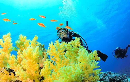scuba-certification-denver