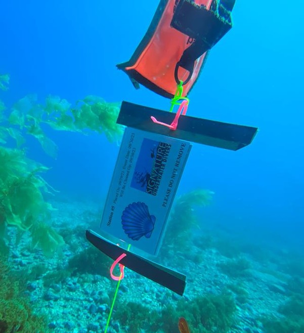 Poker Run Markers