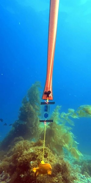 Signature Underwater Divers Marker for Poker Run