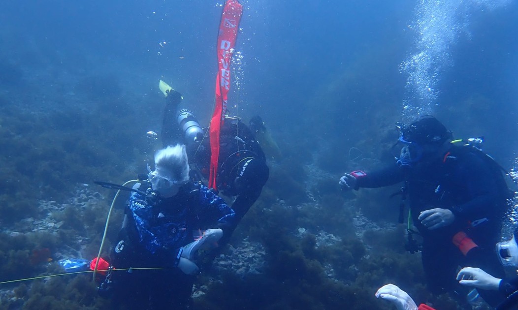 Signature Underwater Divers Club on a Dive