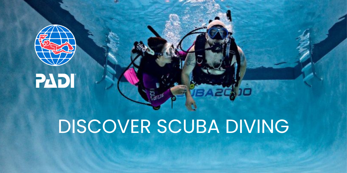 Discover Scuba Diving - First Dive Experience