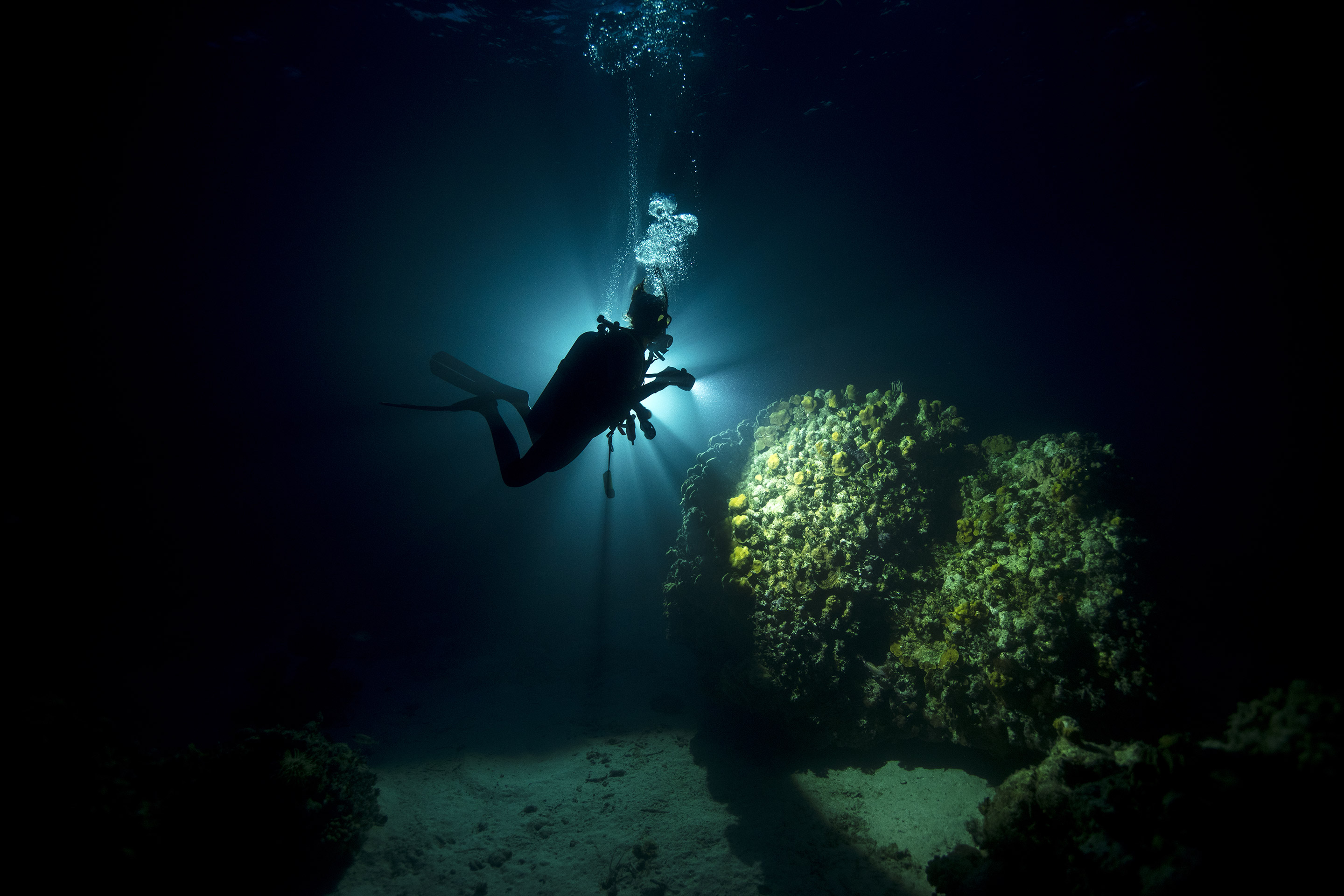 PADI Night Diver