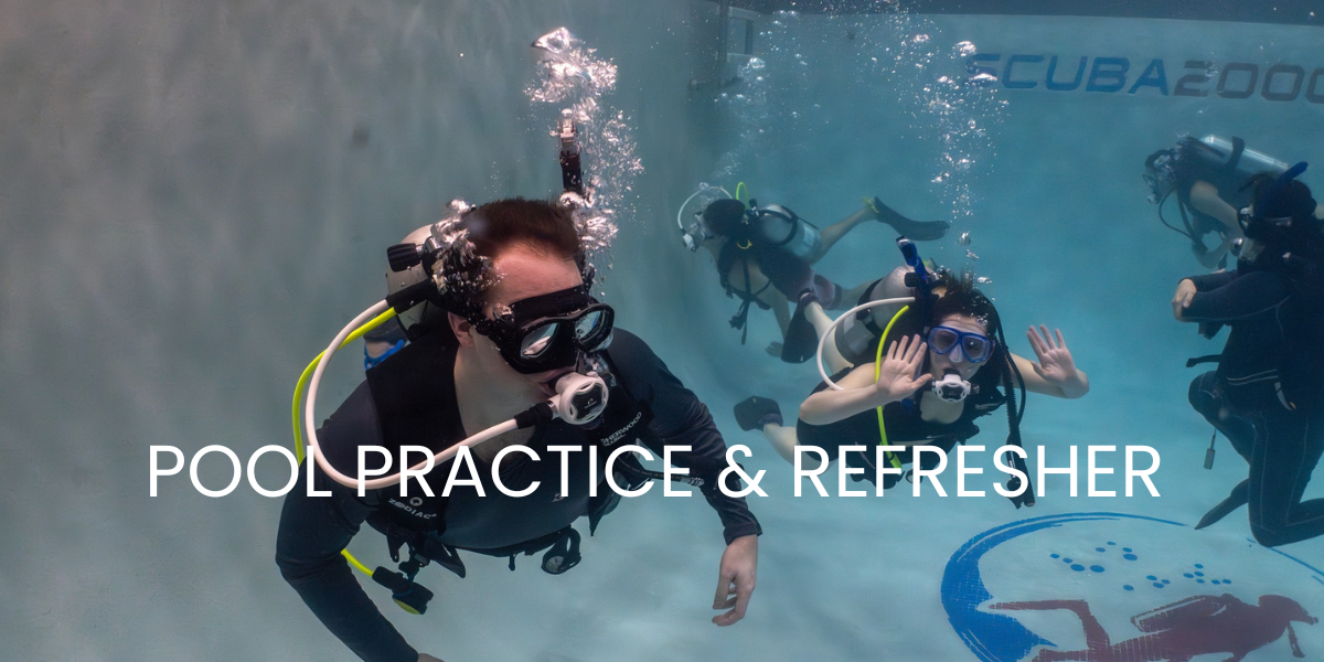Scuba Refresher and Dive Team Pool Practice