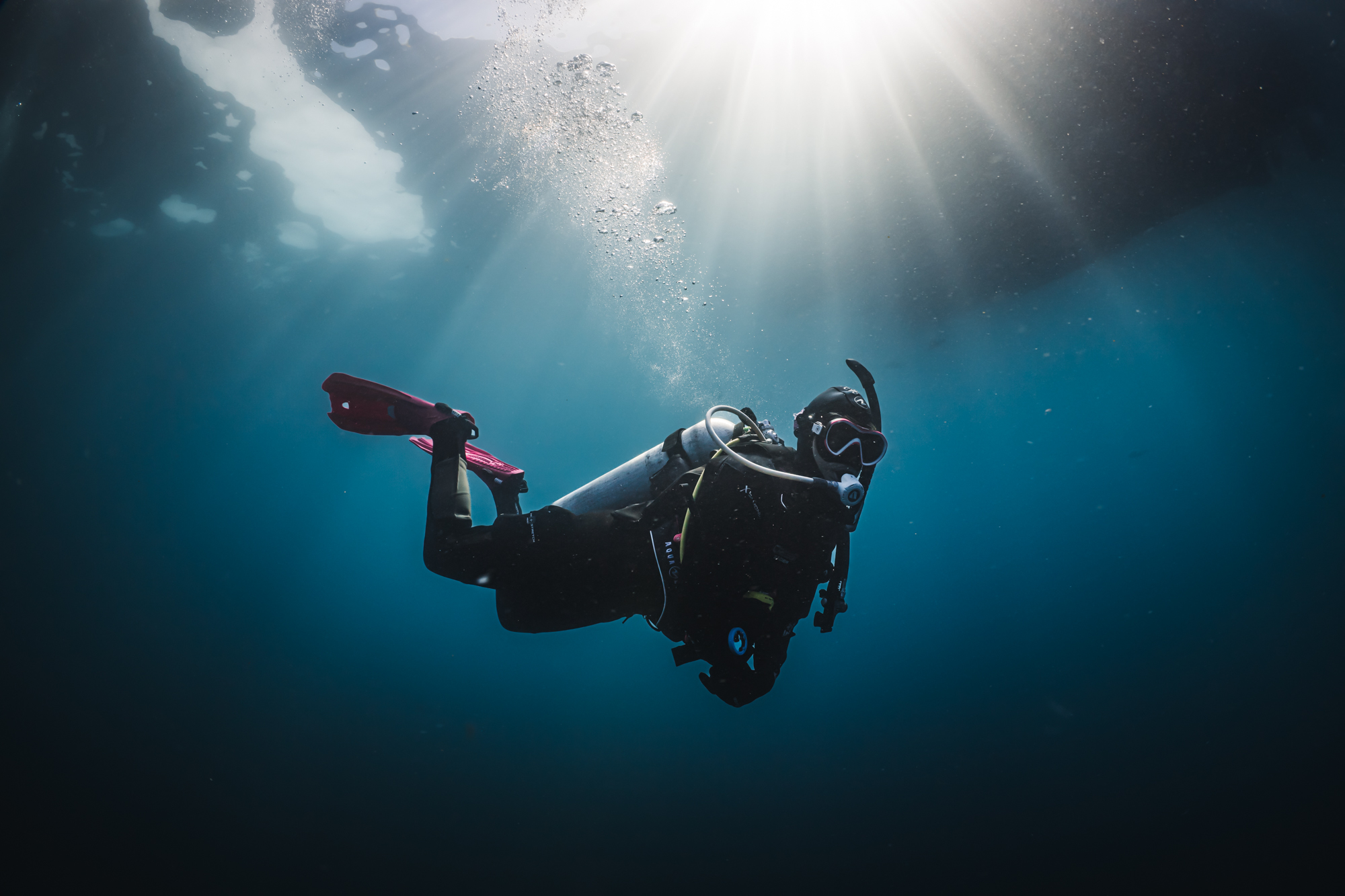 A group of certified divers underwater