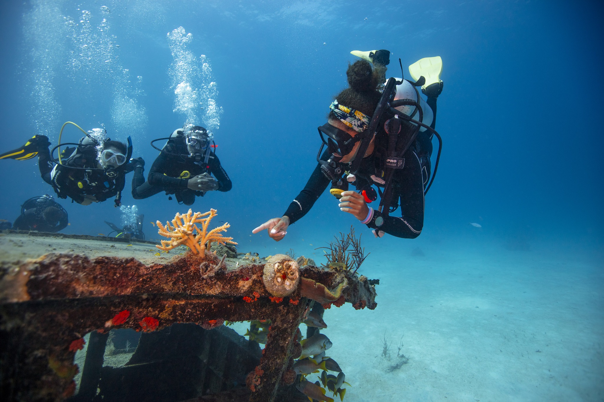 A diver points out marine life while other divers watch