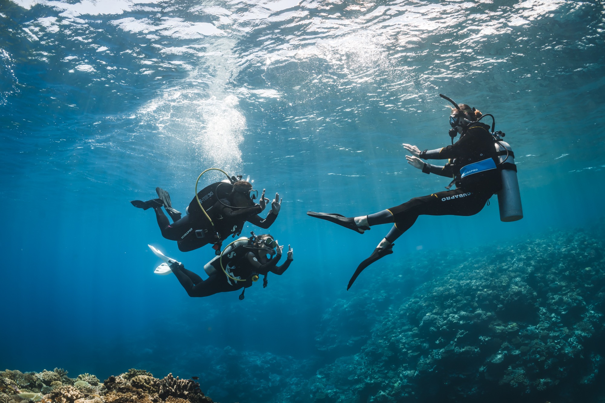 Three divers communicating underwater during a group session