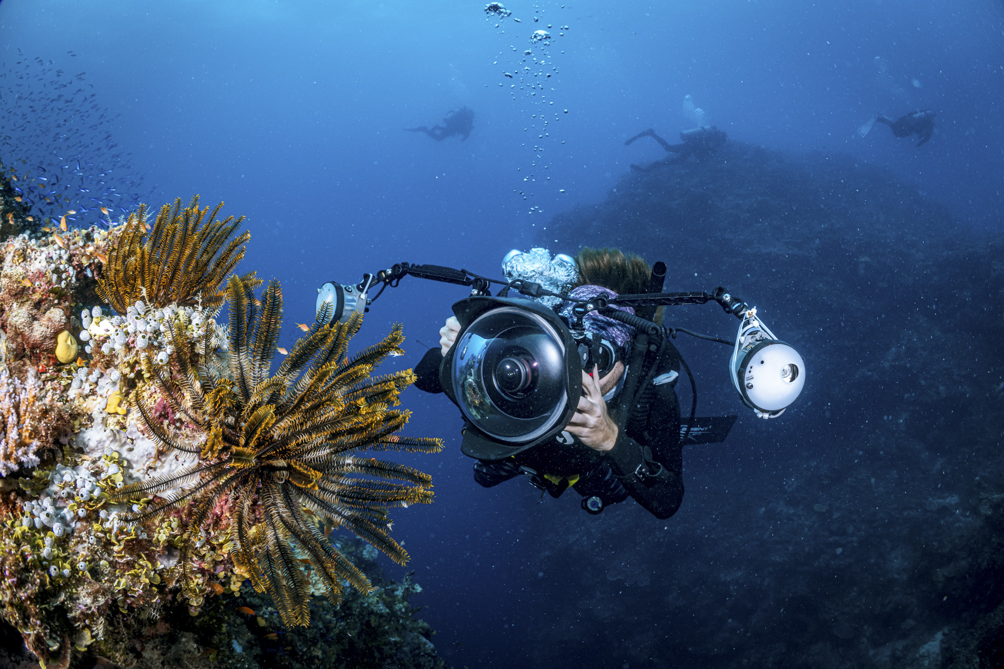 Underwater Photography Fundamentals