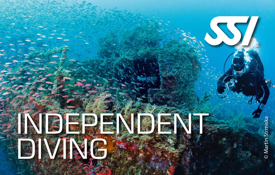 Independent Diver Logo
