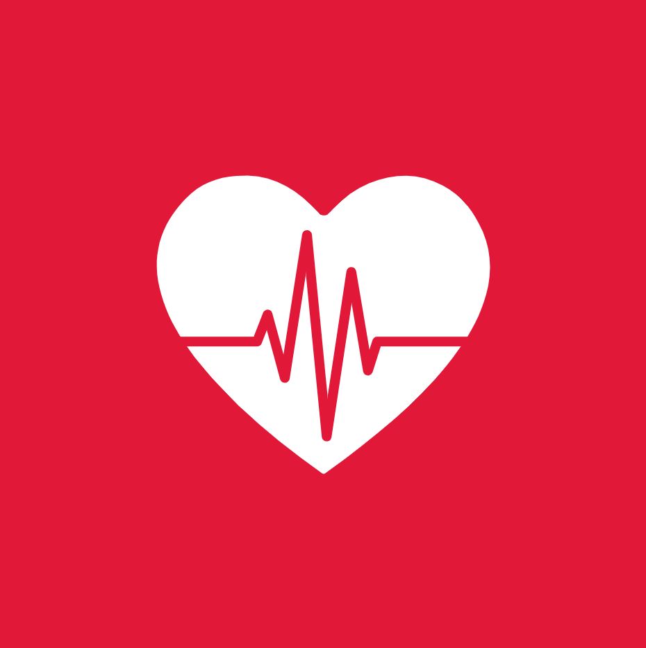 DAN BLS and First Aid Logo