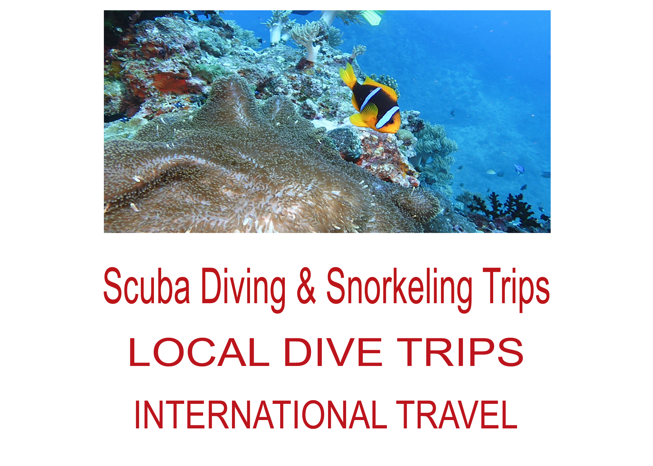 Travel & Events