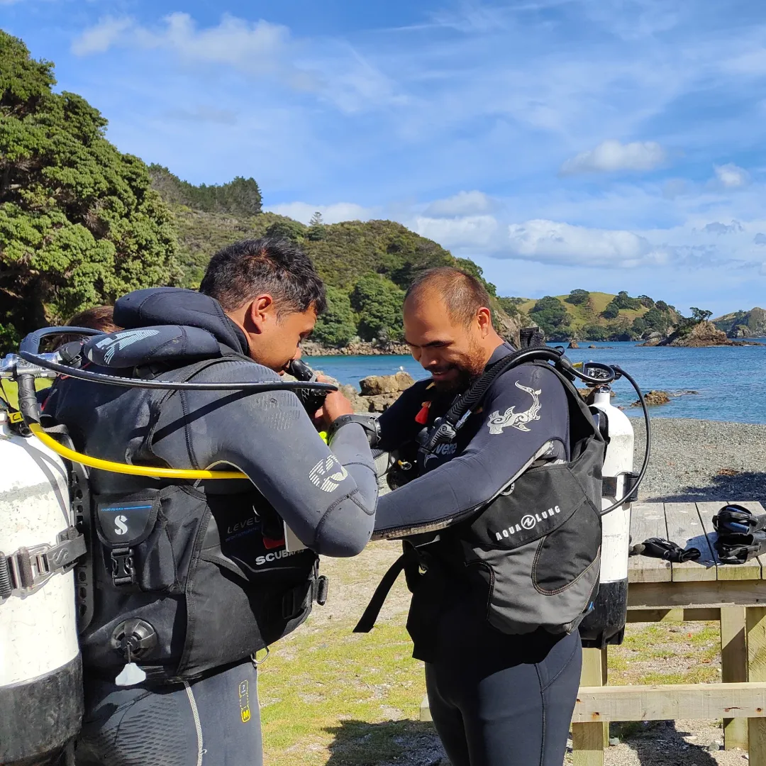diver-buddy