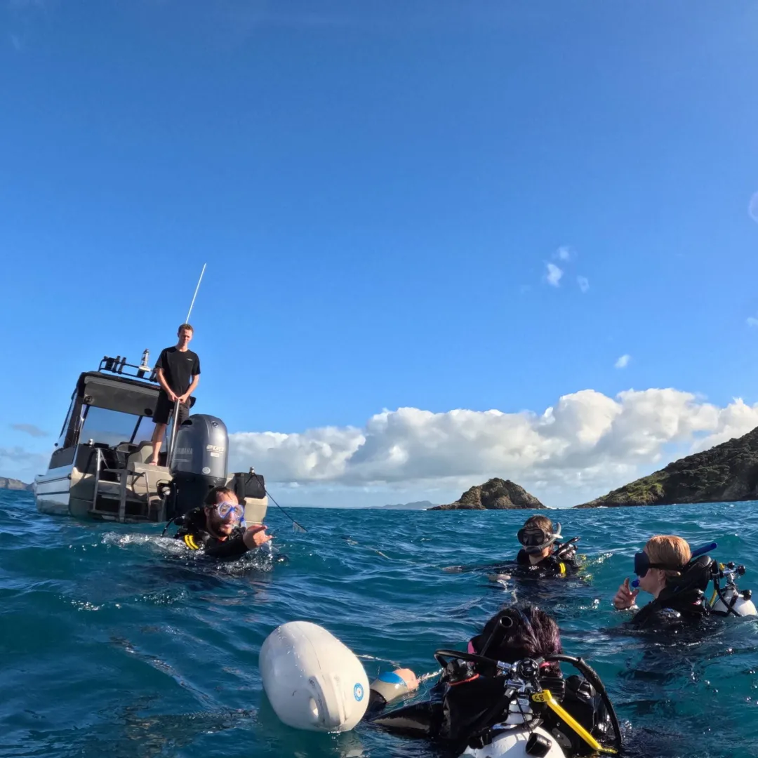 divers-boat-course