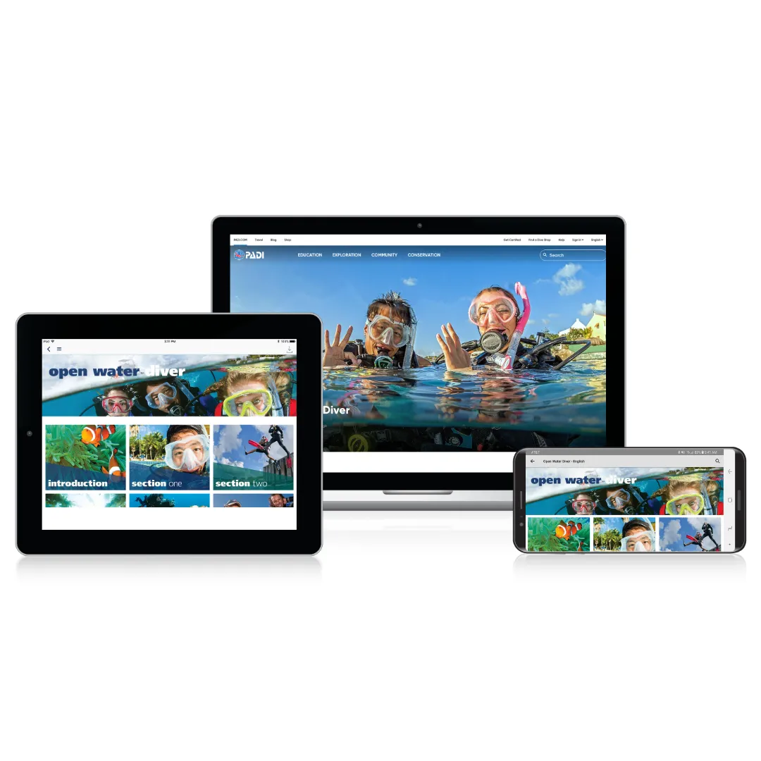 padi-elearning