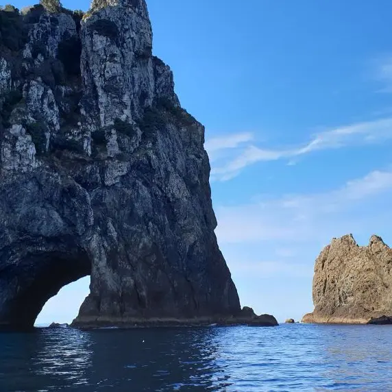 Hole in the rock bay of islands