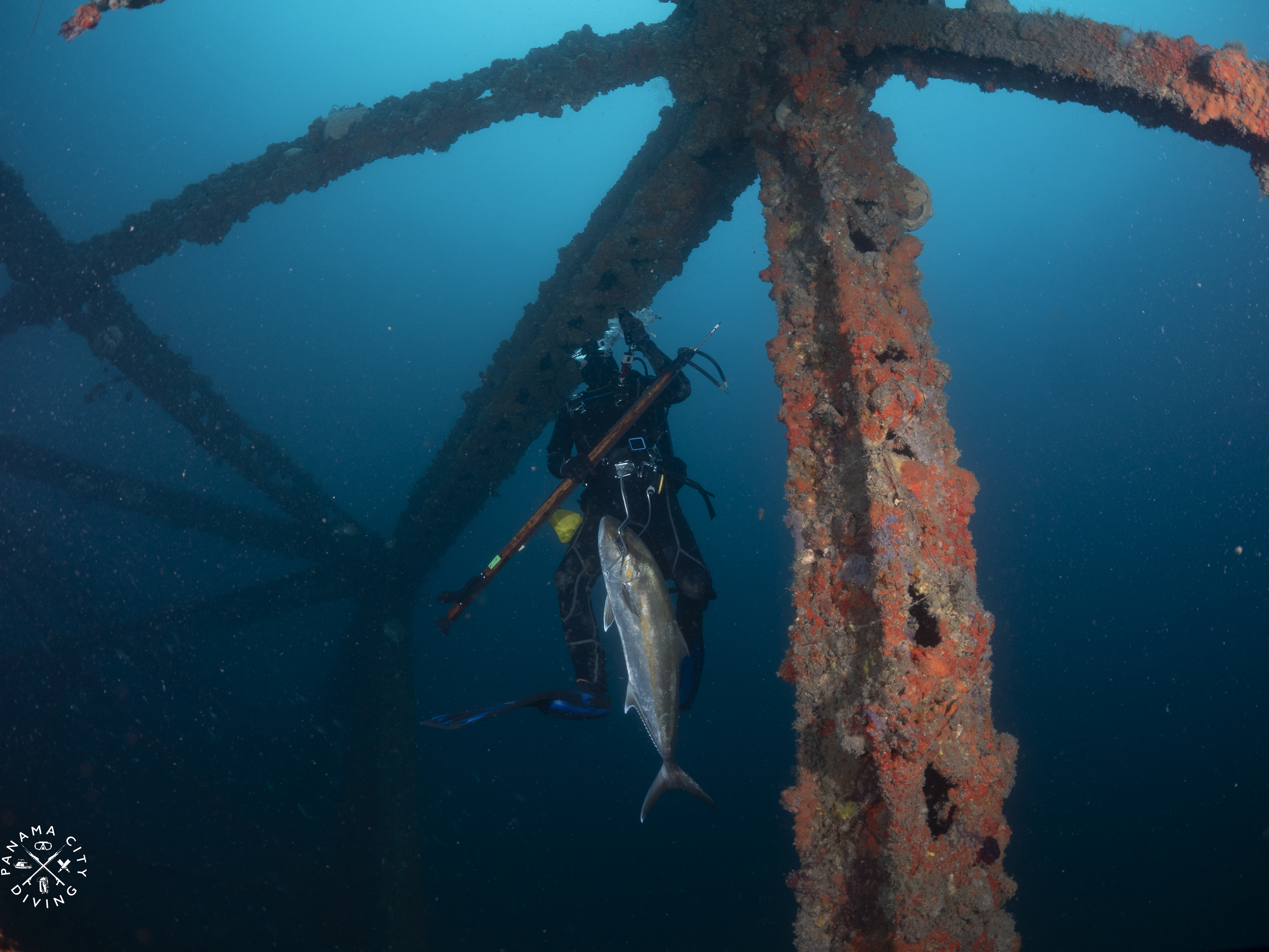 Dives and spearfishers love exploring these very fishy dive sites