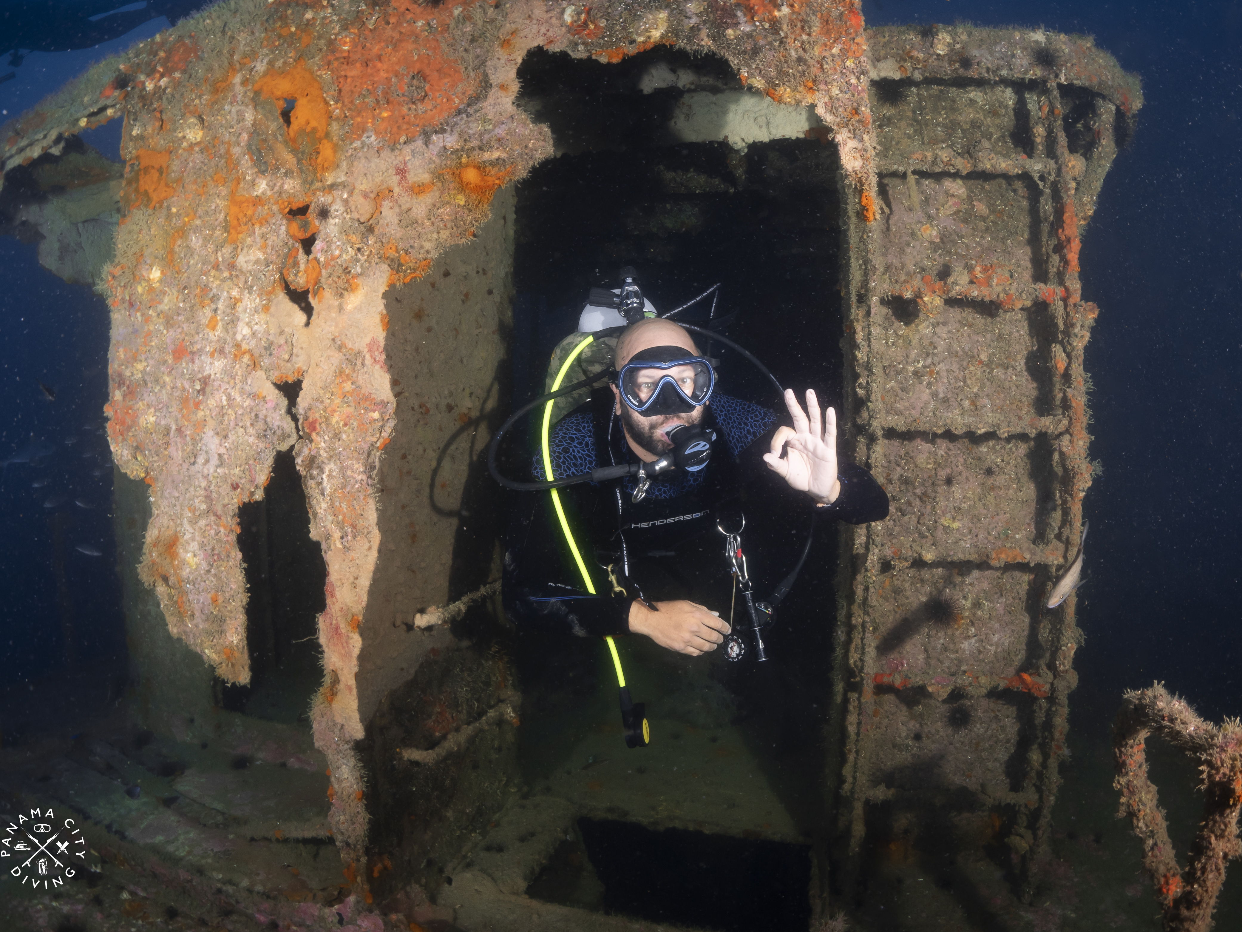 Shipwrecks offer divers a chance to swim through the spaces where the crew used to live and work when the ships were on the surface.