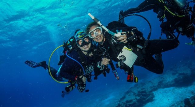 Professional Diver Development