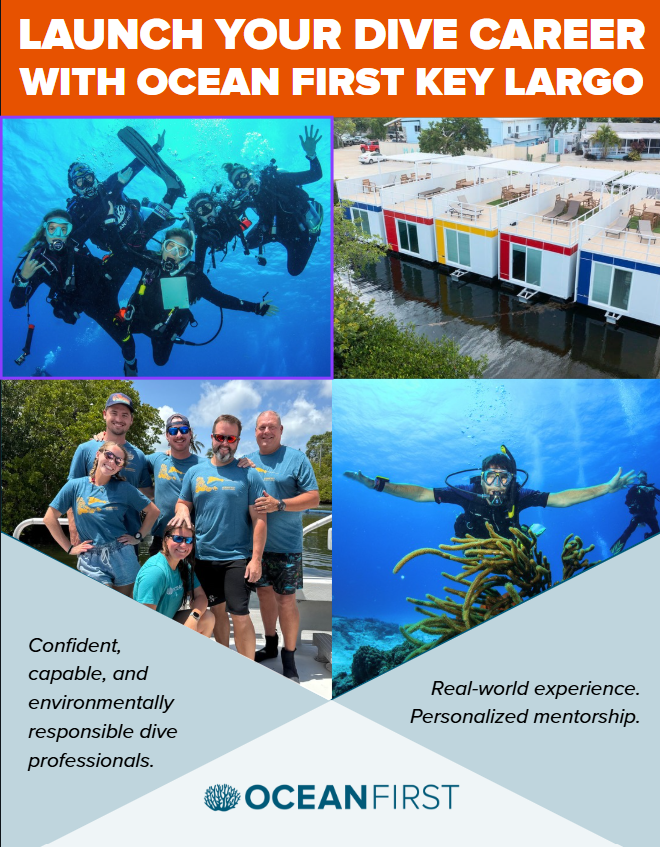 SSI professional development overview infographic