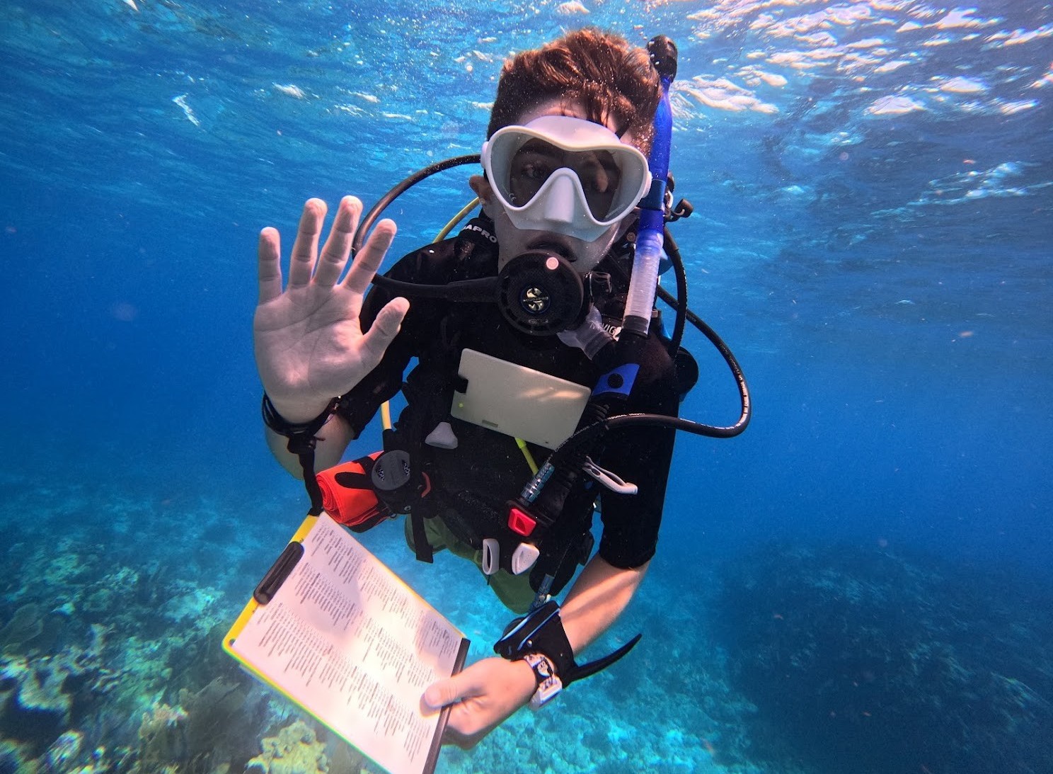 TIDES Master Explorer scuba divers conducting shark research