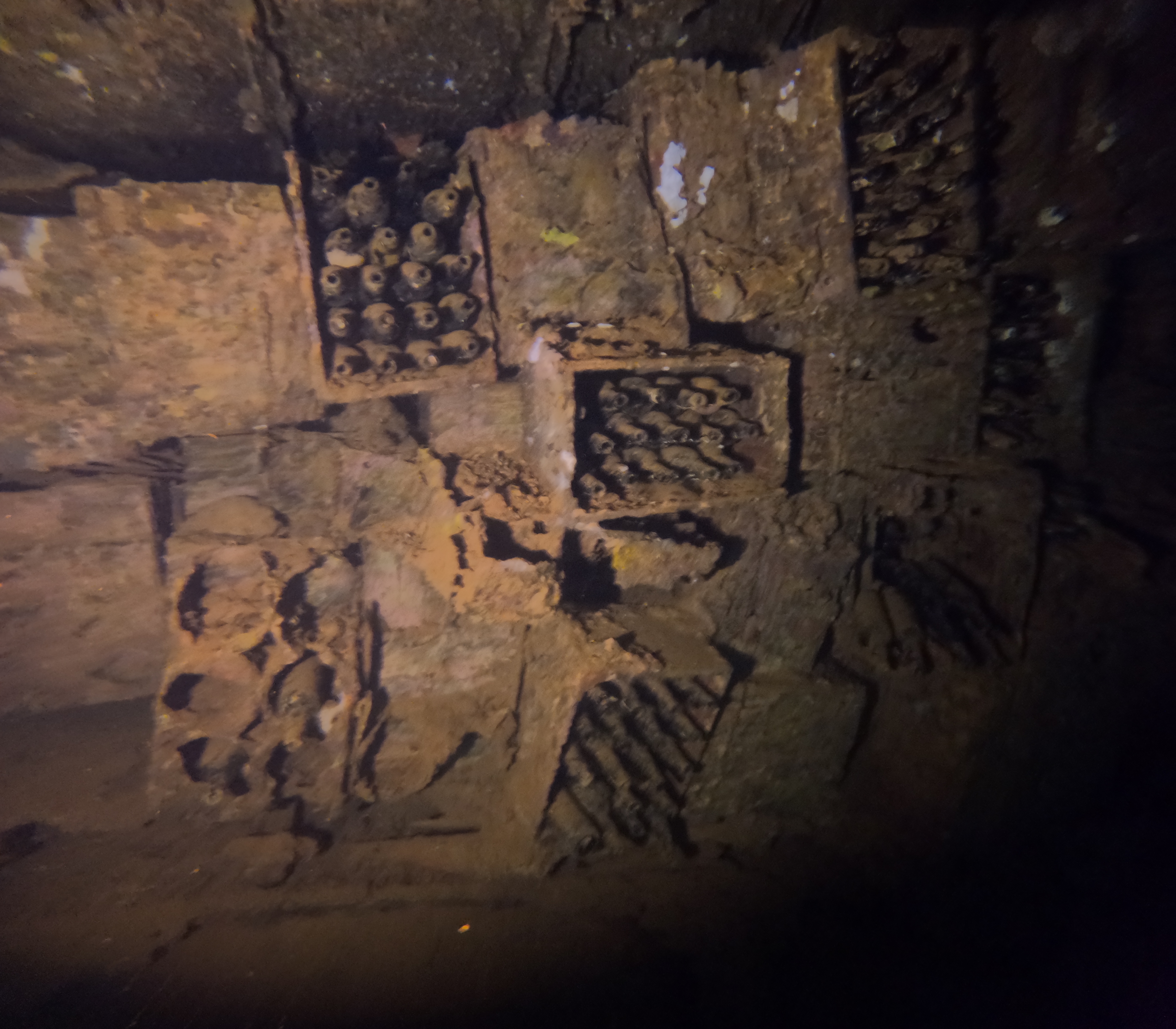 Nippo Maru which was a freshwater transport and one must assume a major Sake and Beer ship as it has walls of beer and sake bottles still sitting in their crates after being underwater for 81 years.