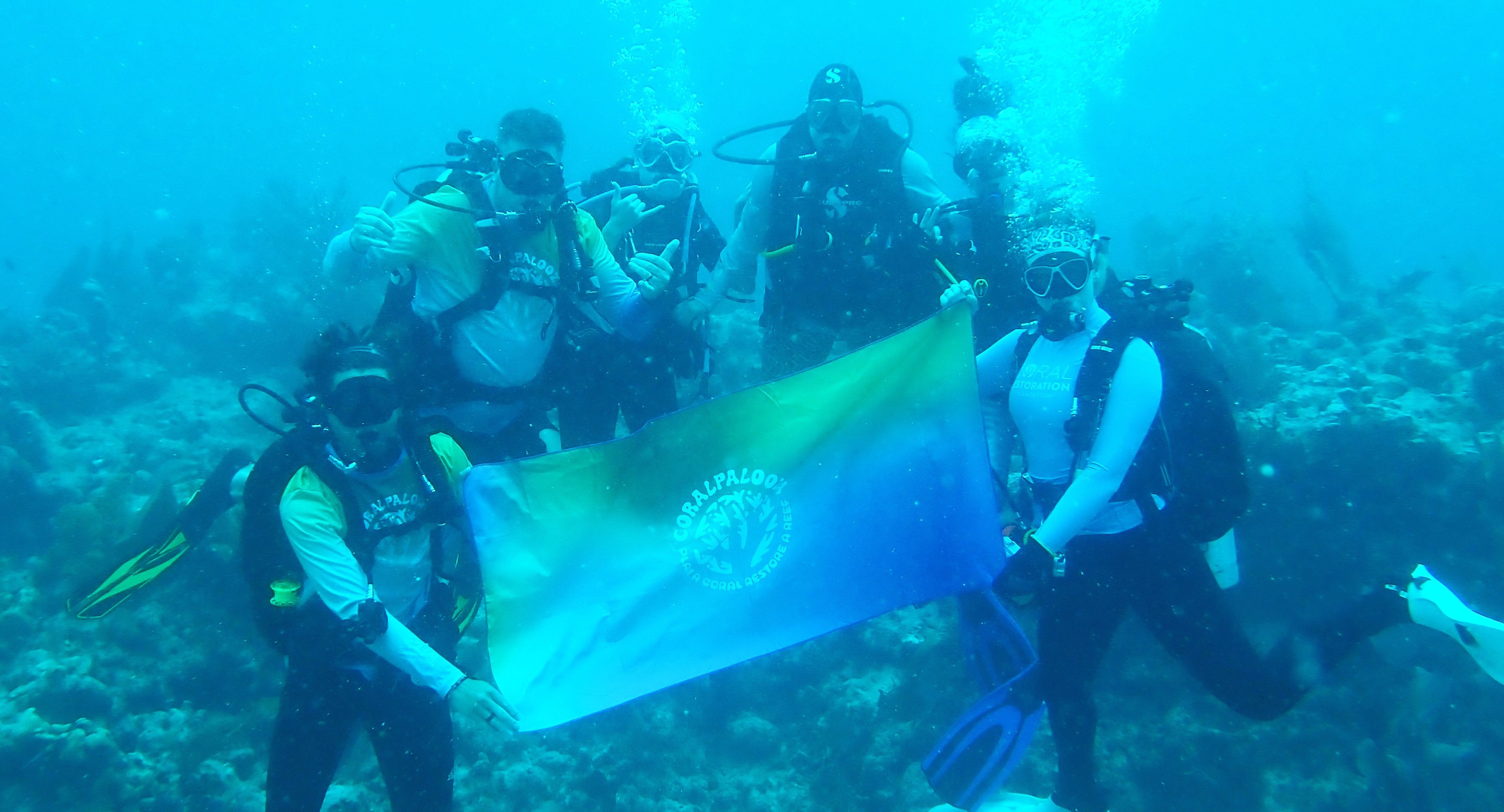 Mission Iconic Reefs