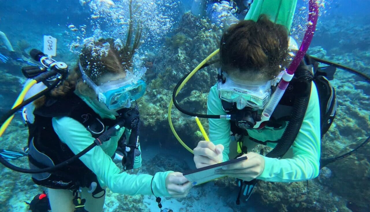 Mission Iconic Reefs