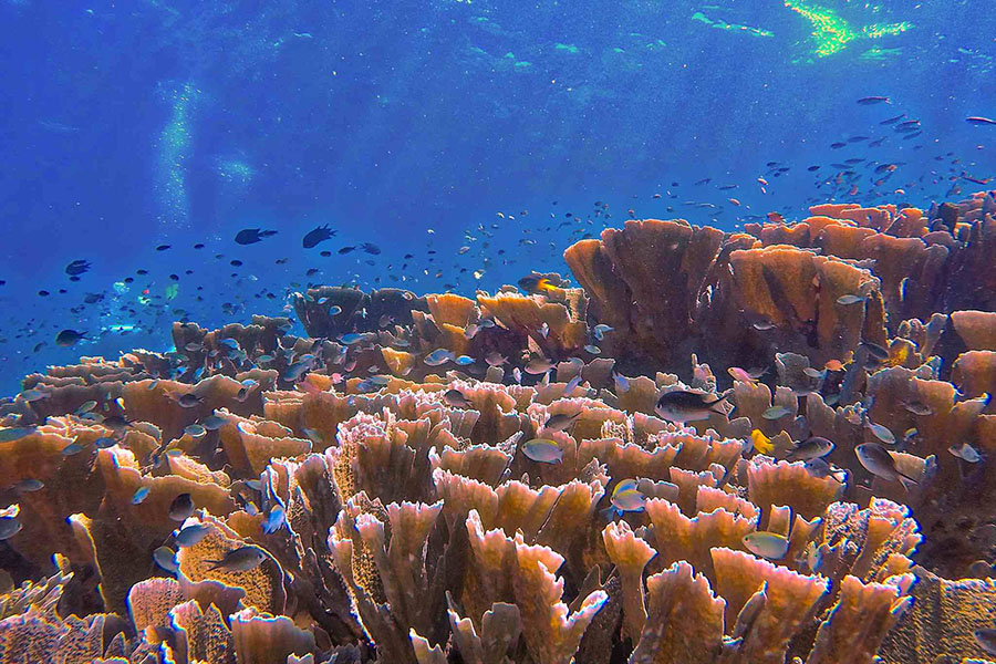 Raja Ampat photo 4 of 4