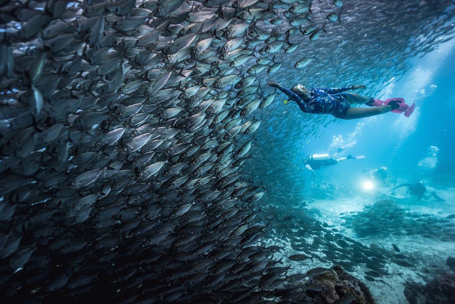 Raja Ampat photo 1 of 4