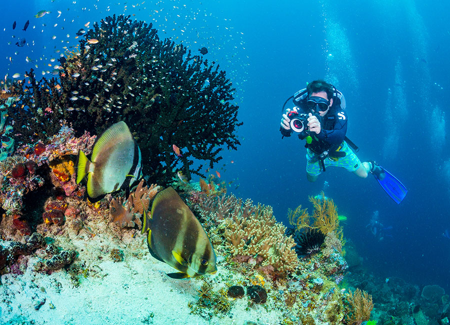 Raja Ampat photo 2 of 4