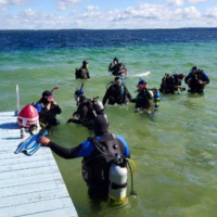 Open Water Checkout Dives