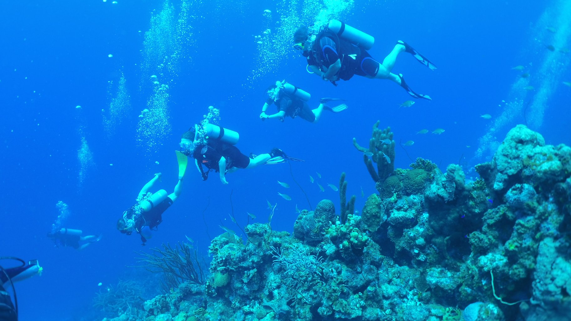 Dive & Glide Scuba divers exploring a tropical reef