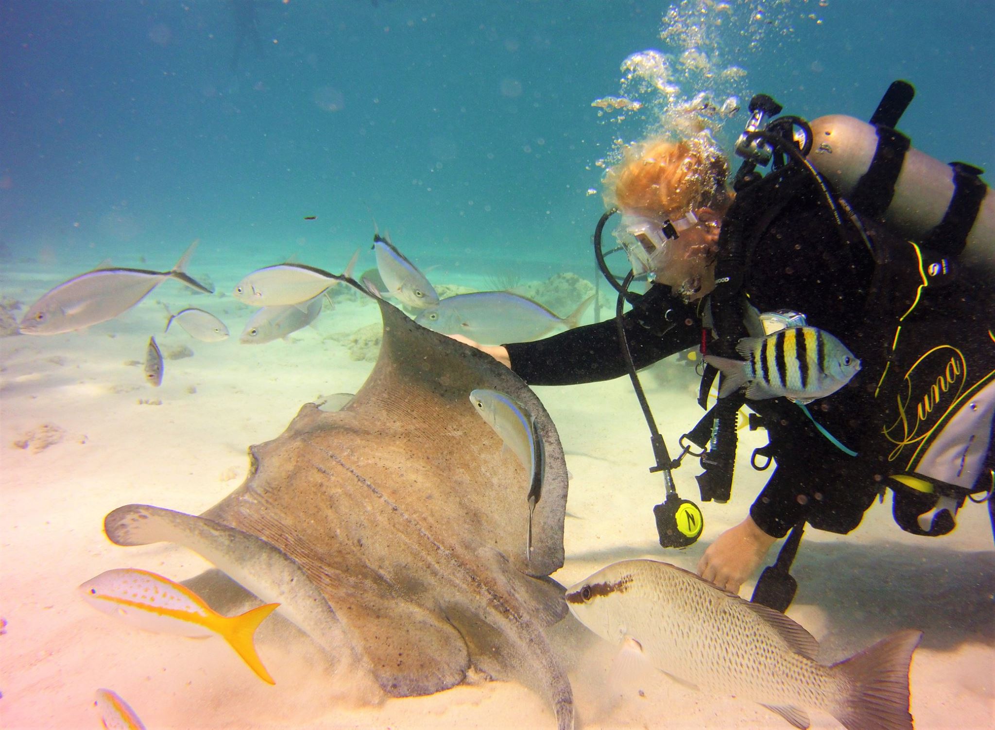 Scuba diver with a southern stingray on a Dive & Glide Scuba trip
