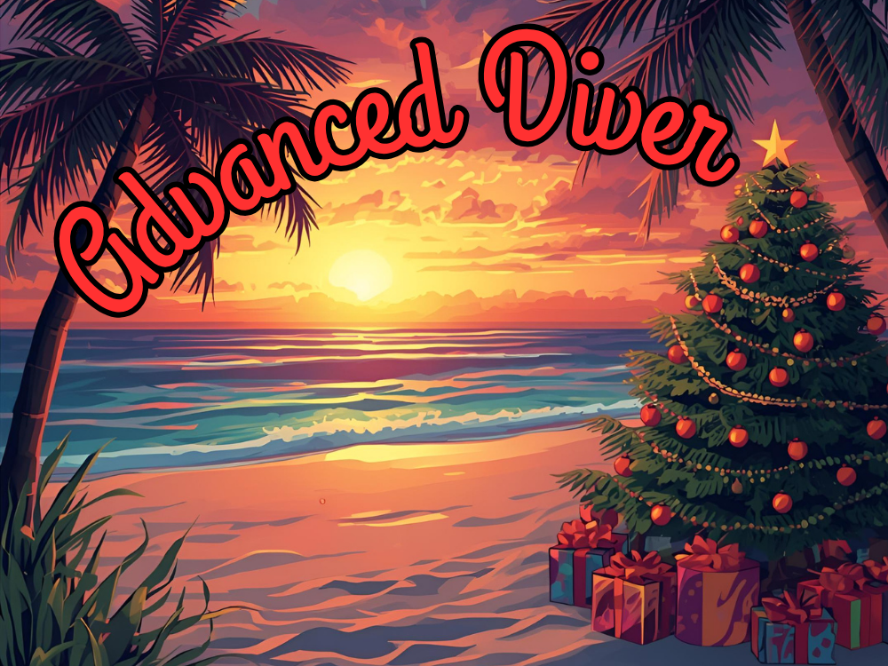 Advanced Diver Course special