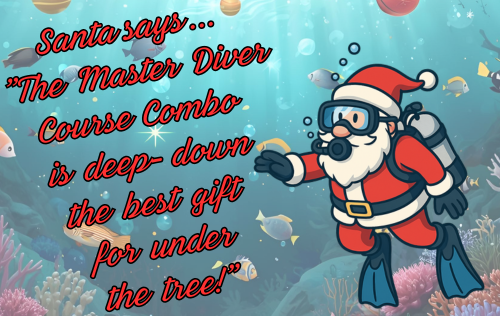 Holiday Master Diver Challenge diver photo 2
