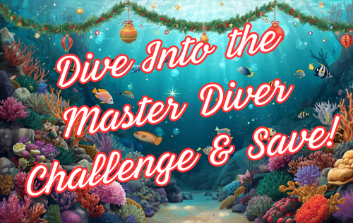 Holiday Master Diver Challenge diver photo 1
